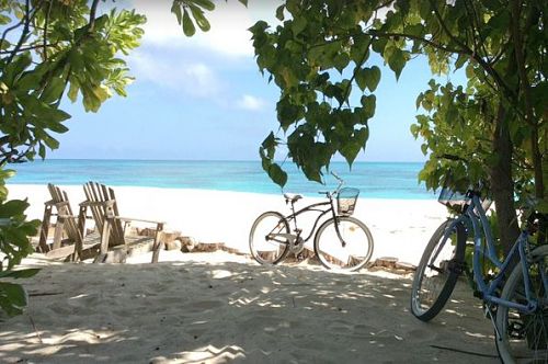 Seychellen Inselhüpfen zur Privatinsel Denis Island - mehr Info hier!